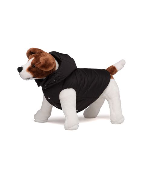 prada dog coat accessories